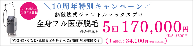 熱破壊式 全身フル医療脱毛 ジェントルマックス G Max キャンペーン