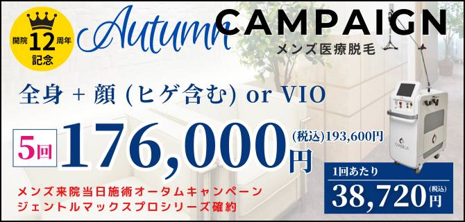 美容皮膚科アイエスクリニック メンズ医療脱毛 熱破壊式が全身+顔 or VIOで5回176,000円(税込193,600円)