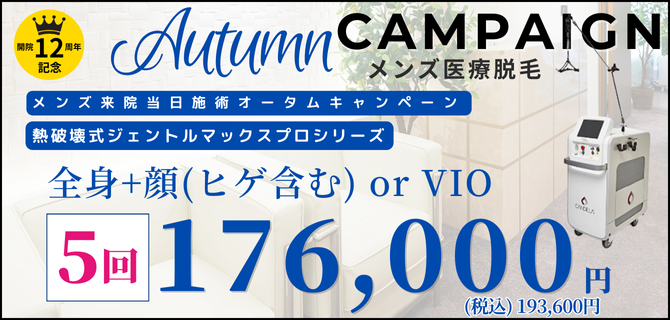 美容皮膚科アイエスクリニック メンズ医療脱毛 熱破壊式が全身+顔 or VIOで5回176,000円(税込193,600円)
